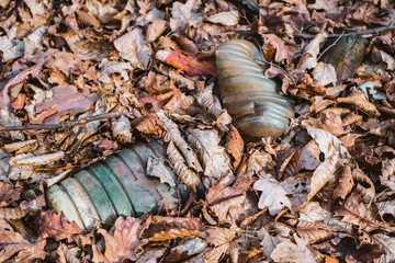 A dirty plastic bottle left in the autumn forest. Plastic waste in the environment. Autumn season. Plastic bottle garbage in a forest.