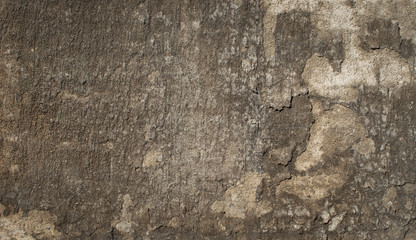 old brown wall background texture