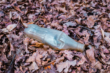 A dirty plastic bottle left in the autumn forest. Plastic waste in the environment. Autumn season. Plastic bottle garbage in a forest.