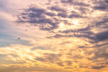 Natural background. Gray storm clouds	