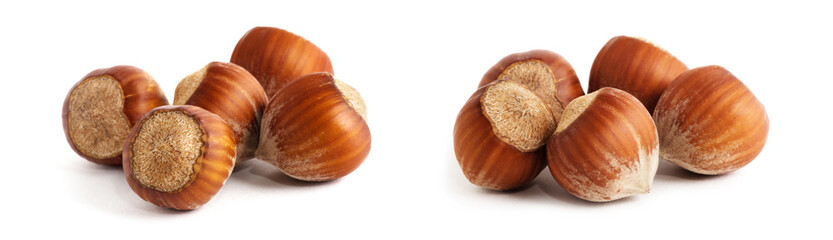 Hazelnuts isolated on the white background