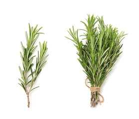 Rosemary bound on a white background