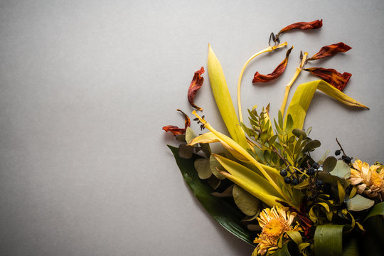 bouquet of wilted tulips on gray background. Flat lay top view copy space. Concept of the sadness and loneliness of old age and wilted love.