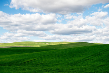 Campiña Cordobesa © josemagomez