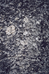 Grunge texture of wild stones in nature