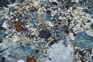 Grunge texture of wild stones in nature