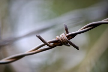 Barbed wire barrier war territory, roadblock quarantine on background.