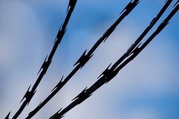 Barbed wire barrier war territory, roadblock quarantine on background.