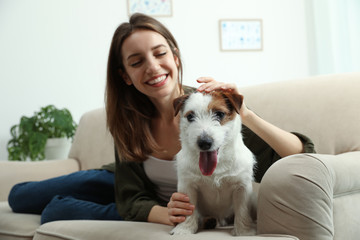 Young woman with her cute Jack Russell Terrier on sofa at home. Lovely pet