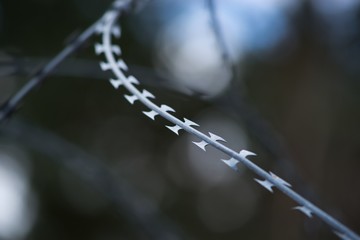 Barbed wire barrier war territory, roadblock quarantine on background.