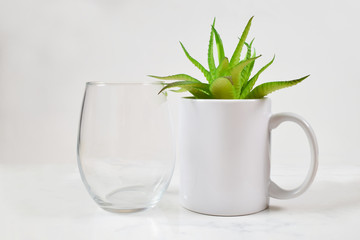 Stemless Wineglass and 11 oz. Coffee Mug Mockup with Aloe Vera Plant