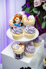 Little girl birthday party table with princess cake, macaroons, cupcakes, and sugar cookies. Candy bar for kids. Sweet holiday buffet with sweets and other desserts.