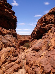 Fototapeta premium Australie Paysage