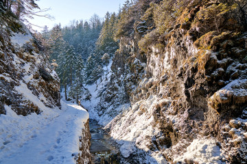 Mountain trail along Bialy Potok stream in Bialego Valley (Dolina Bialego), Zakopane, Poland