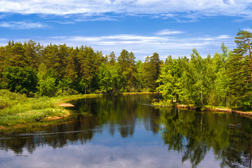 Fototapeta na wymiar Peaceful summer landscape with forest and river