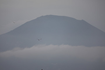 Napoli durante la quarantena