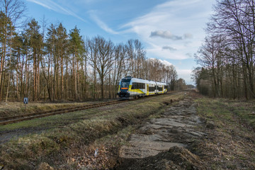 Szynobus jadący torami położonymi w lesie. © boguslavus