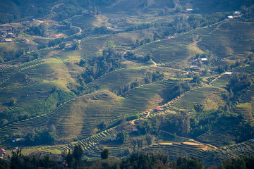 Terraced rice fields, the typical landscape near mountain village Sapa, North Vietnam