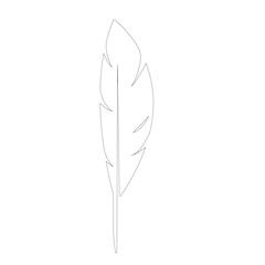 Feather ilustration  logo