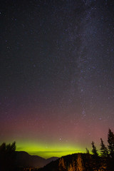 Fototapeta na wymiar Stars in Whistler BC