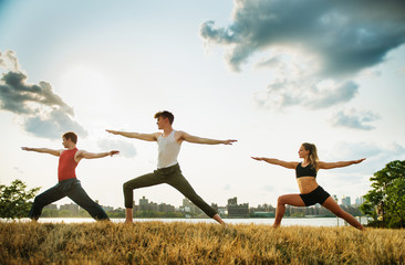 Group of people doing yoga in the park	