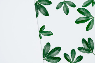 Creative layout made of papers and leaves Flat lay. Minimal nature concept.