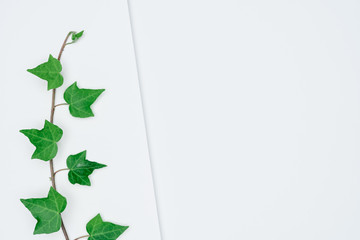 Creative layout made of papers and leaves Flat lay. Minimal nature concept.