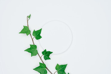 Creative layout made of papers and leaves Flat lay. Minimal nature concept.