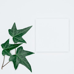 Creative layout made of papers and leaves Flat lay. Minimal nature concept.