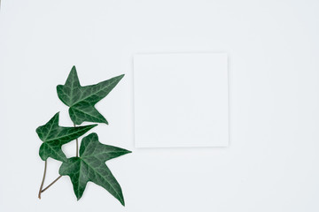 Creative layout made of papers and leaves Flat lay. Minimal nature concept.