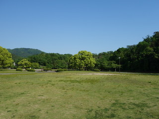 Fototapeta premium ５月の新緑の公園