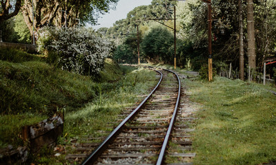 Fototapeta premium railway in the forest
