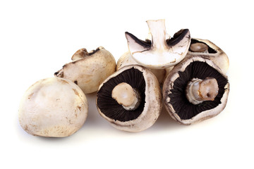 Champignon mushrooms