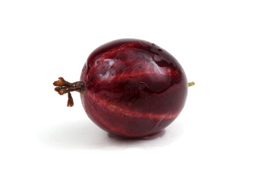 Black-violet gooseberry