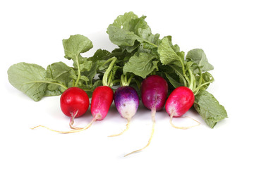Red and violet radishes