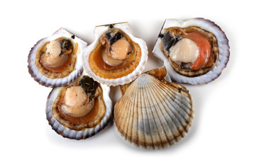 Opened scallops