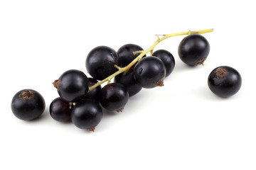 Cluster of black currant
