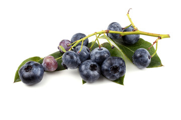 Cluster of blueberries