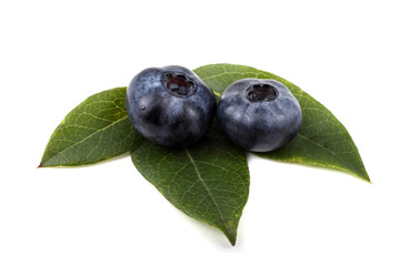 Blueberries on leaves