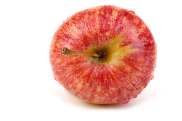 Gala apple