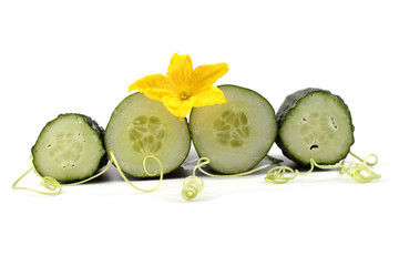 Cucumber halves, flower and tendrils