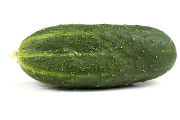 Cucumber