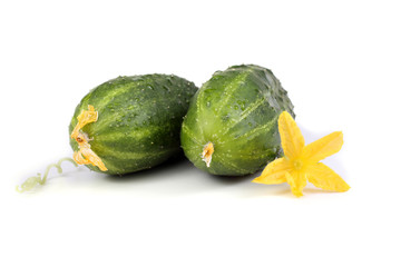 Cucumbers and flower