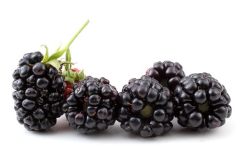Blackberries
