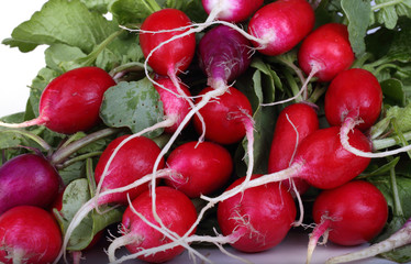 Radish background