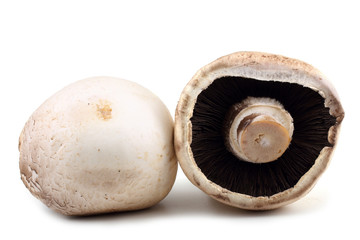 Champignon mushrooms