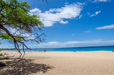 Fototapeta na wymiar One of the best beach with crystal clear water Big Beach Maui Hawaii USA