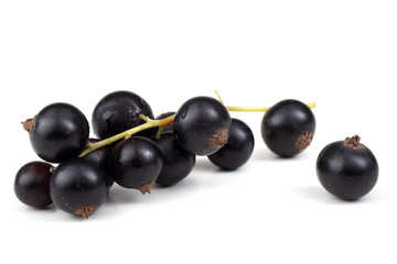Cluster of black currant