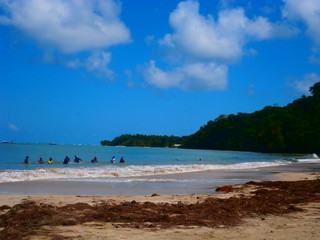Obraz premium Plage de Tartane Martinique