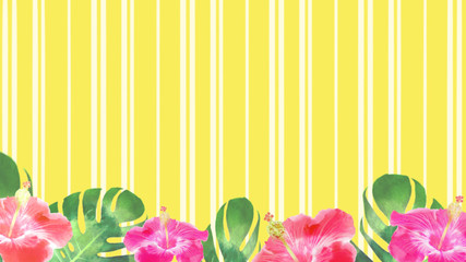 Obraz premium ハイビスカス ストライプ 背景素材